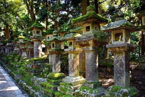 Kasuga_Taisha_Shinto_Shrine[1]