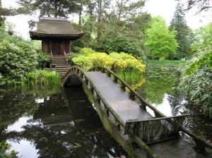 Shinto-Shrine-Tatton-Park_18[1]