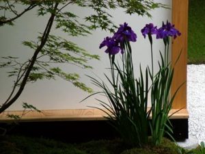 japanese-house-garden[1]